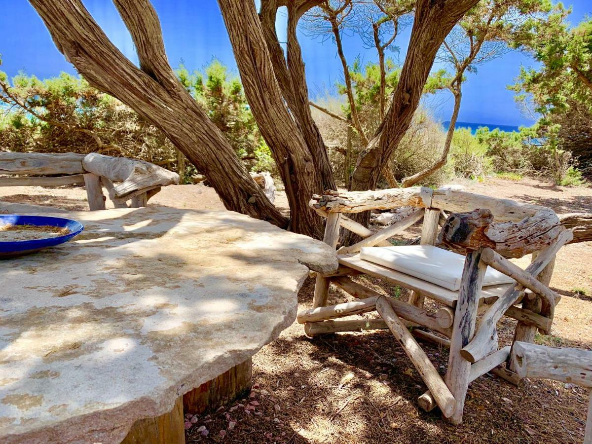 Meridium Formentera By Tentol Hotels Bãi biển Bãi biển Playa Migjorn Ngoại thất bức ảnh