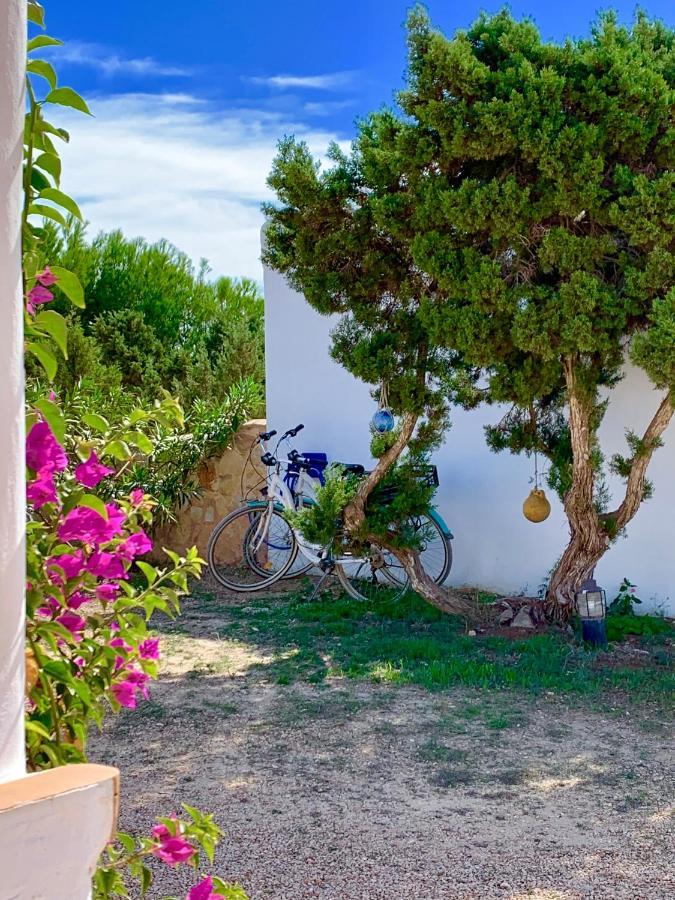 Meridium Formentera By Tentol Hotels Bãi biển Bãi biển Playa Migjorn Ngoại thất bức ảnh