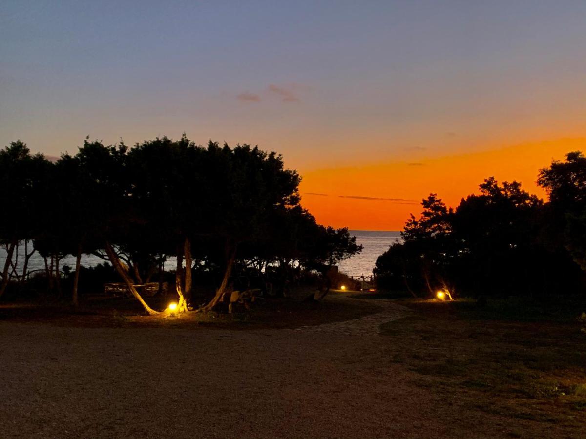 Meridium Formentera By Tentol Hotels Bãi biển Bãi biển Playa Migjorn Ngoại thất bức ảnh